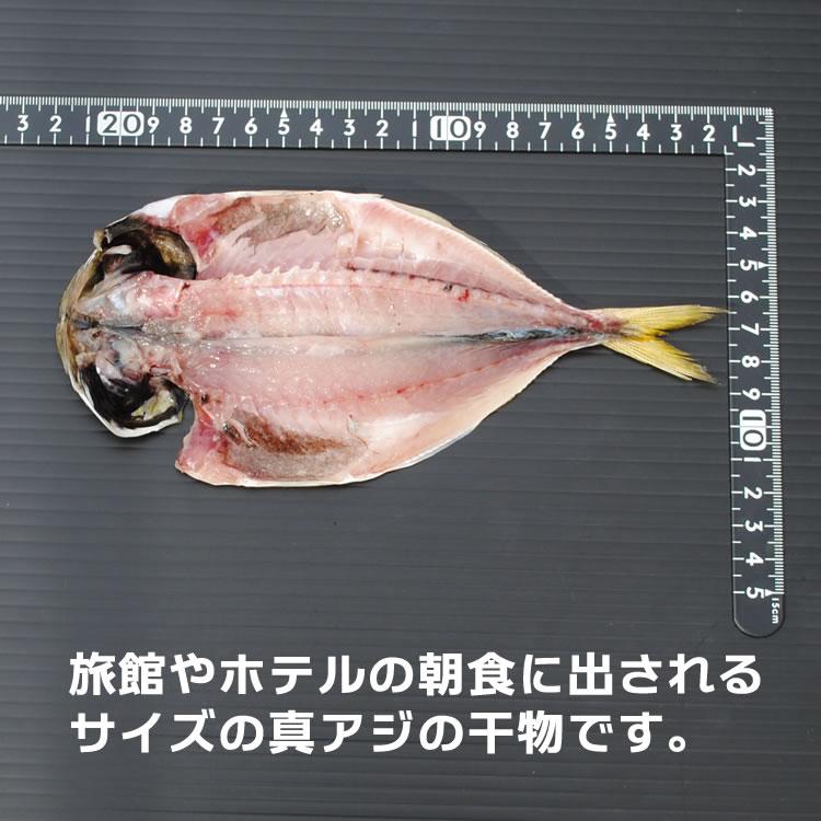 お歳暮 ギフト 干物 お取り寄せ グルメ プレゼント 贈答品   国産 小アジ干物 1枚   魚 食品 食品 鯵 真あじ