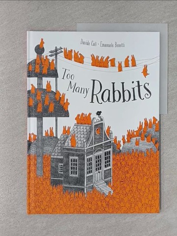 【書寶二手書T1／少年童書_ZAA】Too Many Rabbits