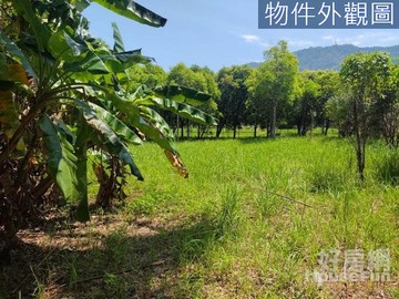 桃園市大溪區休閒農地二筆全臨路面寛好規劃｜桃園市大溪區溪崁段