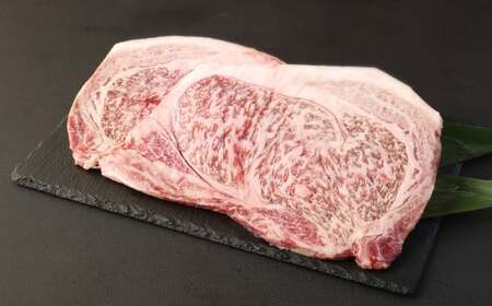 くまもと黒毛和牛 サーロインステーキ 500g（250g×2）ギフトBOX入り 牛肉 ステーキ 国産