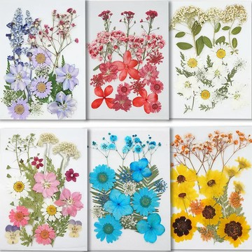 【真花壓花】少女寫真 壁畫 DIY水晶滴膠 乾燥花