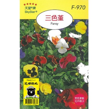 花田綠地種子-三色堇