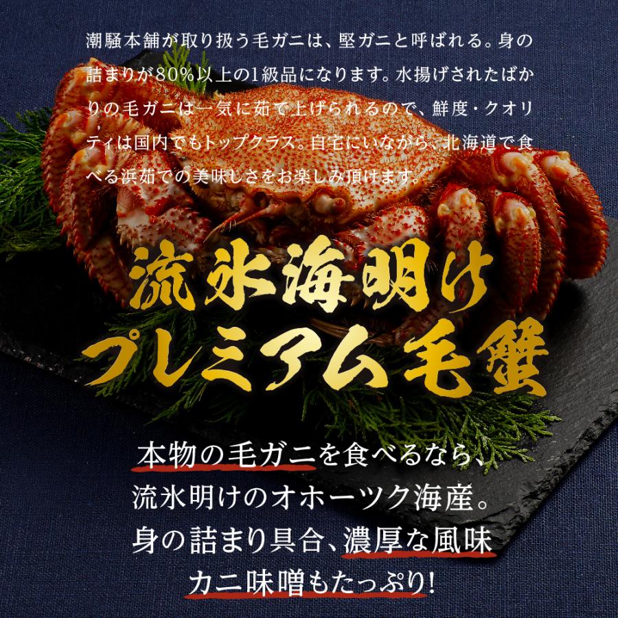 北海道産 流氷海明けプレミアム毛蟹 800g 紋別ニチモウ加工の一級品 ケガニ かに カニ お刺身 甲羅焼き カニ飯 甲羅酒 カニ鍋 焼きガニ ギフト