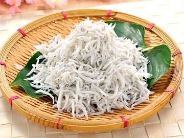 南方澳吻仔魚