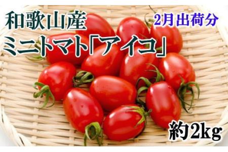 トマト 2月 先行予約 野菜    和歌山産ミニトマト「アイコトマト」約2kg（S・Mサイズおまかせ）