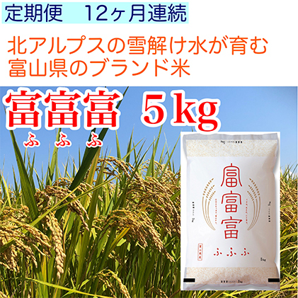 定期便 米 5kg 12ヶ月 富富富 ふふふ 富山 こめ コメ お米 おこめ 白米 精米 12回 お楽しみ