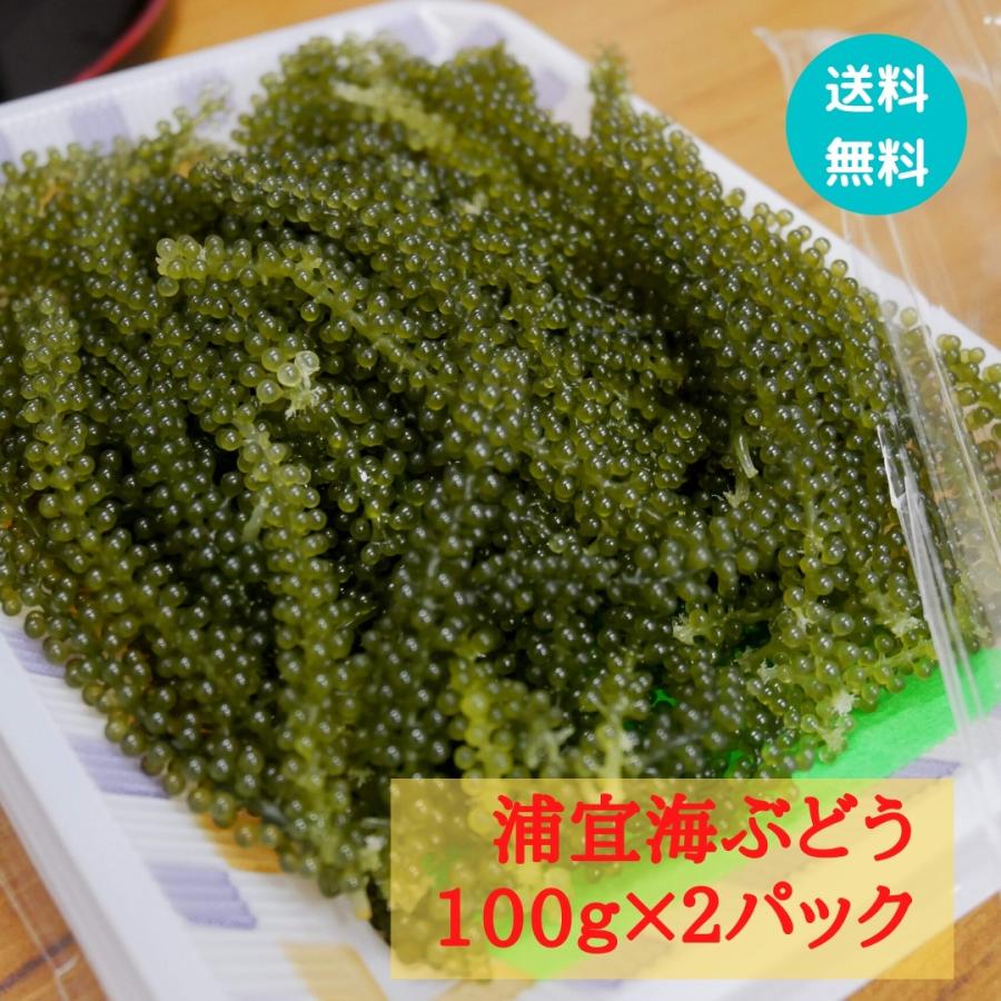 浦宜海ぶどう100ｇ×2パック