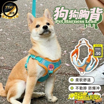 免運費🚀柴犬專用胸背泰迪比熊博美胸揹帶幼犬金毛犬雪納瑞胸背遛狗牽引繩🔥XCW