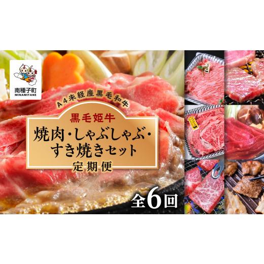 ふるさと納税 鹿児島県 南種子町 焼肉・しゃぶしゃぶ・すき焼きセット（全6回）