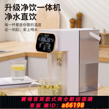 【台灣公司 可開發票】美規110V即熱桌面飲水機家用小型三秒速熱3L大容量直飲水機跨境