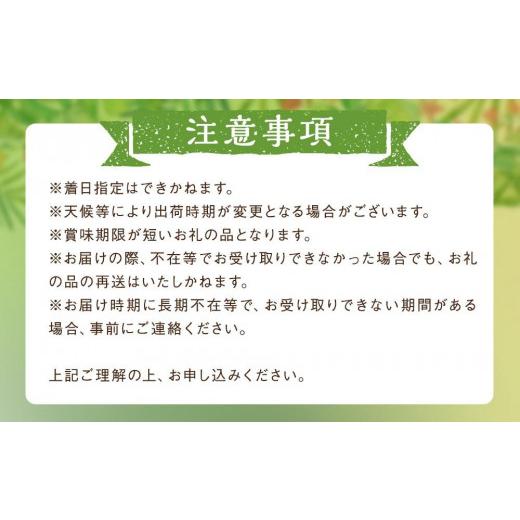 ふるさと納税 沖縄県 豊見城市 豊見城産キーツマンゴー（大玉2玉）【マンゴー おすすめ 人気マンゴー 沖縄 マンゴー セット キーツ マンゴー 大…