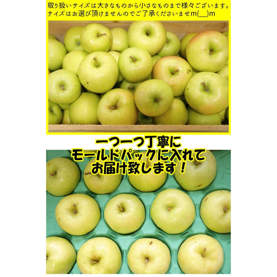 あすつく クーポンで100円引き 青森 りんご 3kg箱 きみと 送料無料 家庭用 訳あり 青森 リンゴ 訳あり 3キロ箱★きみと 家訳 3kg箱