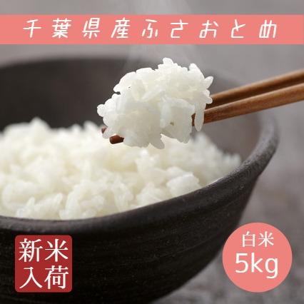 新米 米 お米 白米 5kg 令和5年産 ふさおとめ 本州四国 送料無料