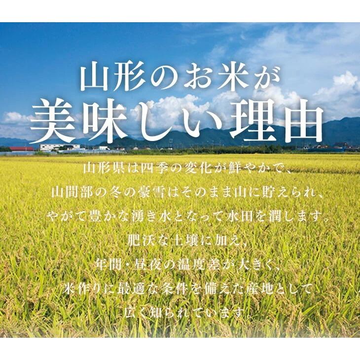 山形県産 はえぬき 無洗米 5kg