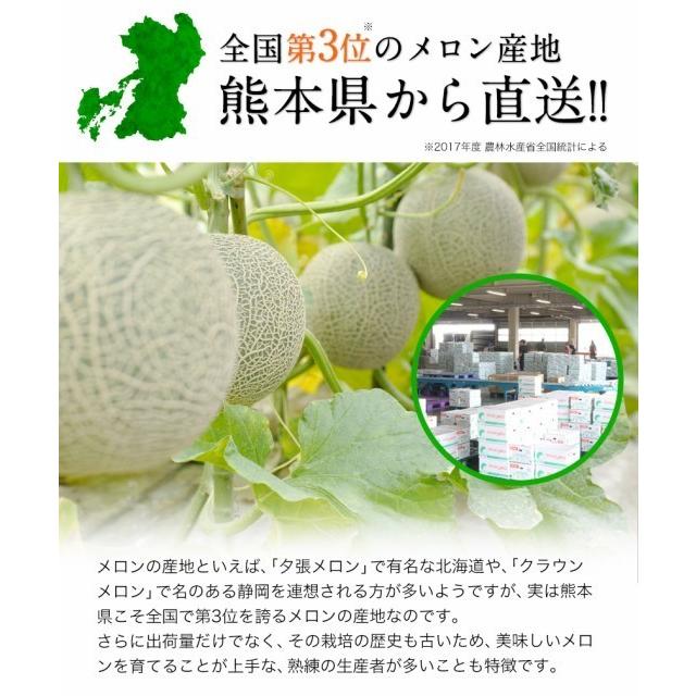 お歳暮 ギフト 九州産 マスクメロン 秀品 1玉 2Lサイズ 1.2kg以上 送料無料 メロン 高級メロン 果物 フルーツ 7-14営業日以内に出荷