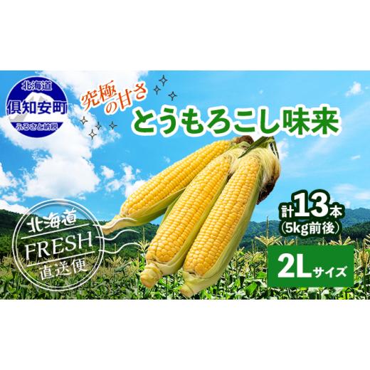 ふるさと納税 北海道 倶知安町 先行予約 2024年 北海道 とうもろこし 味来 みらい 北海道 5kg 2Lサイズ 大きめ 夏野菜 とうきび 旬 新鮮 野菜 トウモロコシ ギ…