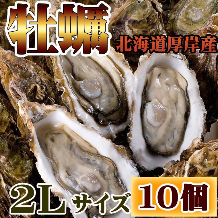 牡蠣 かき 北海道 厚岸 殻付き 2Lサイズ 約10個 生牡蠣 冷蔵 まるえもん ギフト