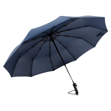 捷華 抗強風十骨傘 自動開收 磨砂手柄 碳纖維傘骨 1-2人適用  藏青色