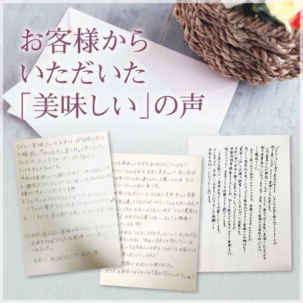 新米 ひとめぼれ 米 20kg 令和5年産 5kgx4袋 お米 宮城県産 白米 送料無料 精白米 産地直送