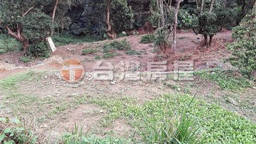 彰南路近四面佛農牧用地｜彰化縣彰化市福田段