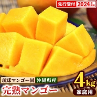 樹上完熟！琉球マンゴー園の完熟アップルマンゴー約4kg（家庭用）