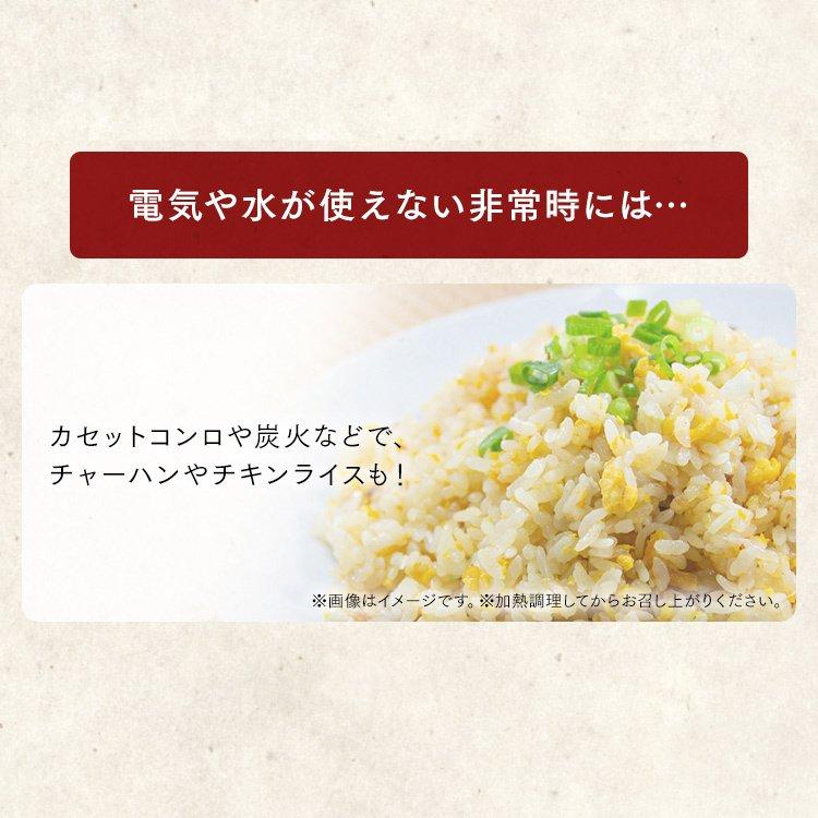 レトルトご飯 パックご飯 ごはん パック レンジ 180g 48食 長期保存パックごはん 180g×12パック 4個セット アイリスフーズ