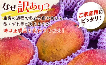 「訳あり」マンゴー 宮崎県産完熟マンゴー1.5ｋｇ（3玉～5玉）