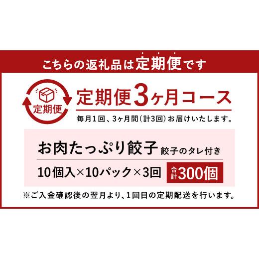 ふるさと納税 熊本県 水俣市 お肉たっぷり餃子 約6kg（10個入×10パック×3回）