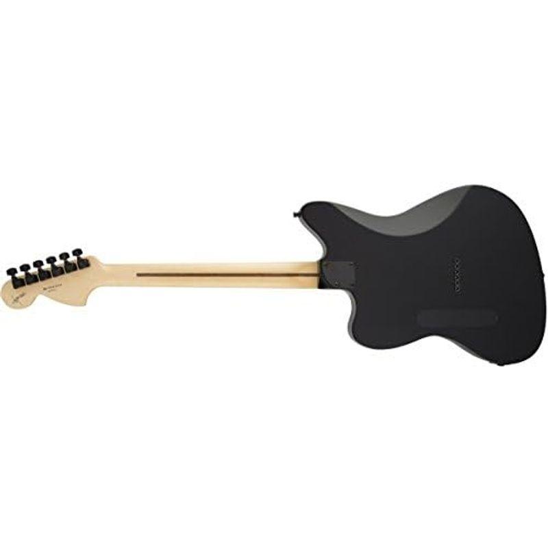 エレキギター Fender JIM ROOT STRATOCASTER?