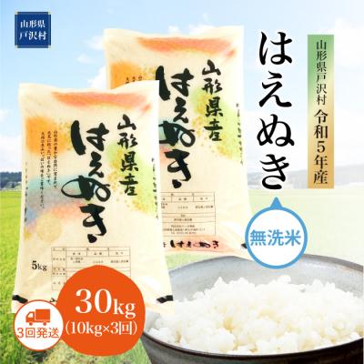 ふるさと納税 戸沢村 令和5年産 山形県戸沢村 はえぬき 30kg定期便