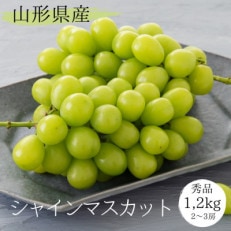 産直直送!もぎたて!シャインマスカット 　秀品　約1.2kg 　2～3房