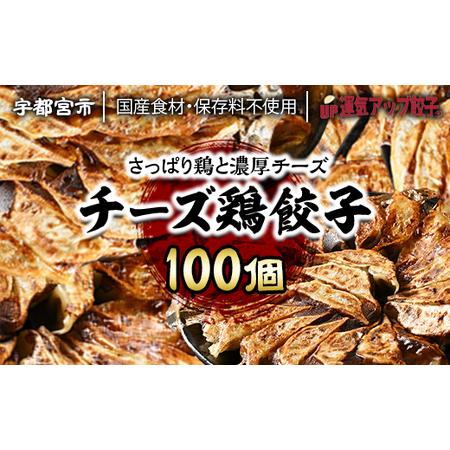 ふるさと納税 宇都宮餃子　チーズ鶏餃子100個　保存料不使用 栃木県宇都宮市