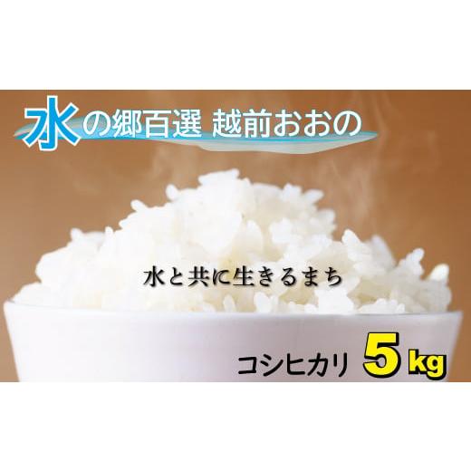 ふるさと納税 福井県 大野市 こしひかり（福井県大野市産）エコファーマー米（白米）5kg