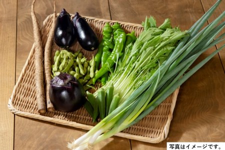 季節の京野菜セット