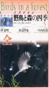 ビデオ 野鳥と森の四季 第5巻 森の