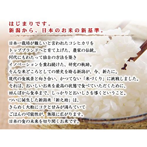 新之助 2kg 白米 新潟県産 令和5年産 シングルチャック袋