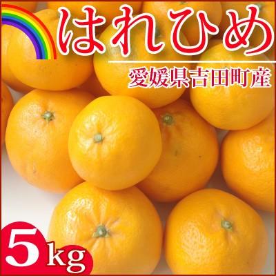 12月14日前後入荷　愛媛産 はれひめ 5kg