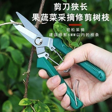 隔日達823🚚電工剪刀鋒利剪銅線剪鐵皮工業用高硬度不鏽鋼修枝家用採摘神器
