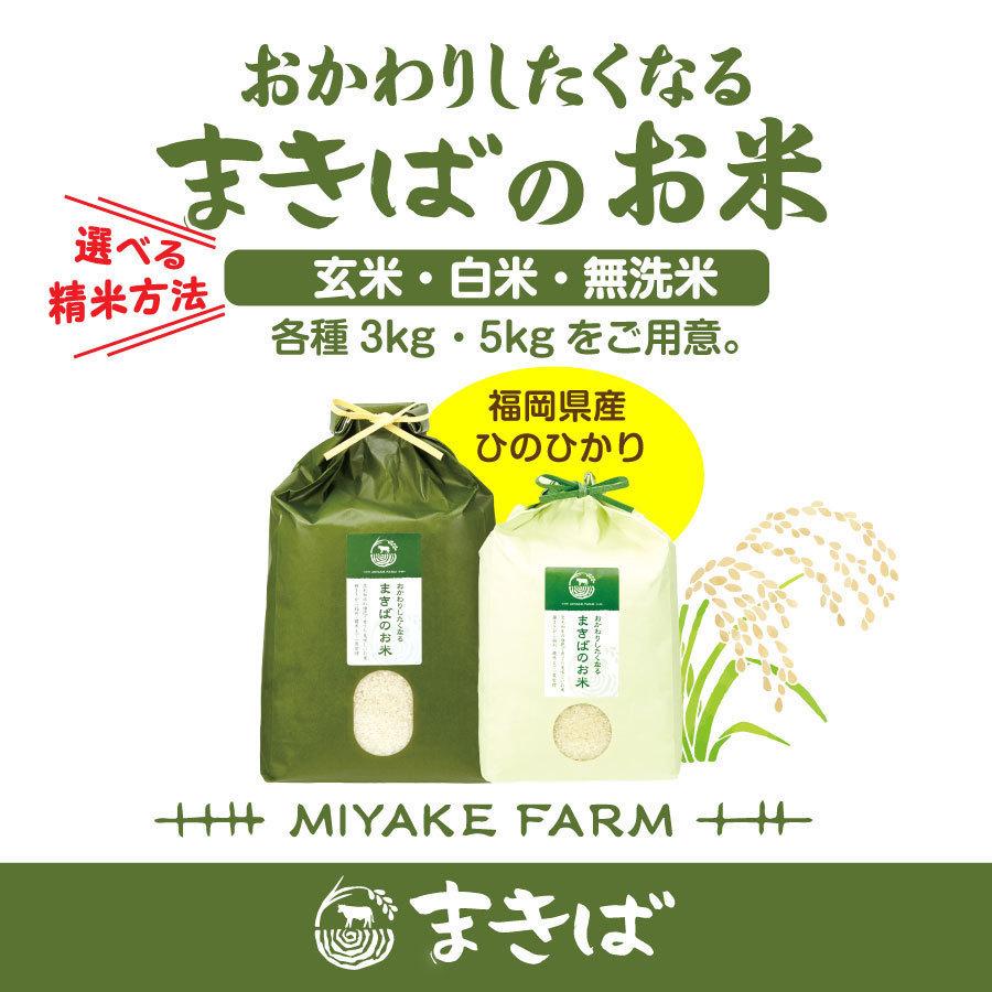 送料無料 新米 まきばのお米 選べる玄米 白米 無洗米 20kg 令和５年産 モチモチごはん