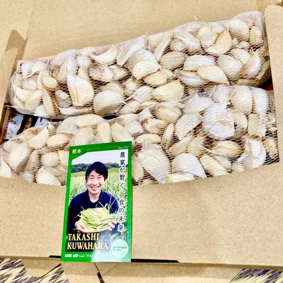 野菜 にんにく (送料無料)小粒中心のにんにくバラ600gメール便 産地直送