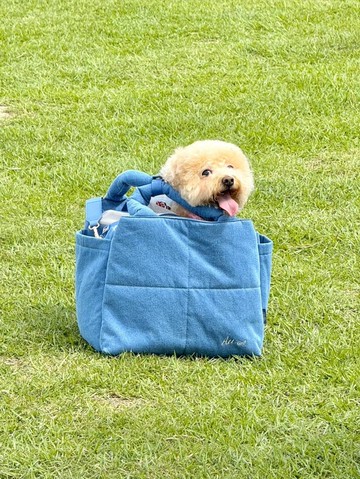 AU-au! Fonny Bubble Bag_寵物包_媽媽包_工作包_旅行包