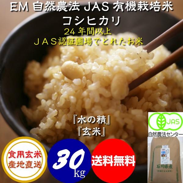 令和5年産 新米 無農薬 有機米 コシヒカリ 食用玄米 ３０ｋｇ 水の精 JAS認証 ＥＭ自然農法