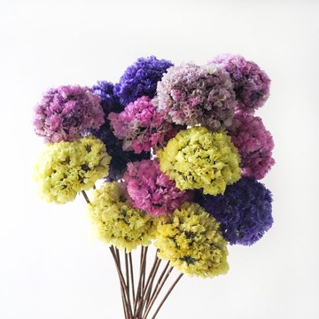 彩色干花球 手工干果干花花束家具裝飾辦公擺設新房插花拍攝道具