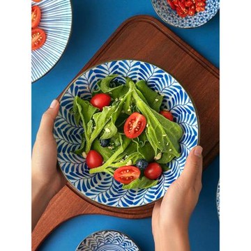 美濃燒日本餐具釉下彩拉面碗日式復古家用高腳湯碗商用沙拉碗湯碗