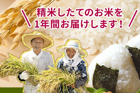 鹿児島県産米ひのひかり10kg定期便 013-07