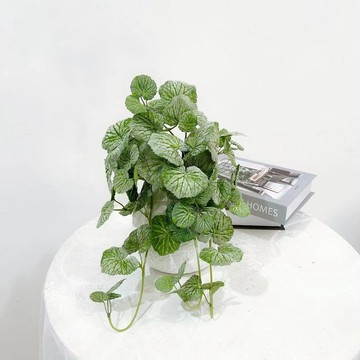 含陽 ins北歐風仿真藤蔓植物海棠葉造景客廳綠植擺件櫥窗店麵裝飾 C215