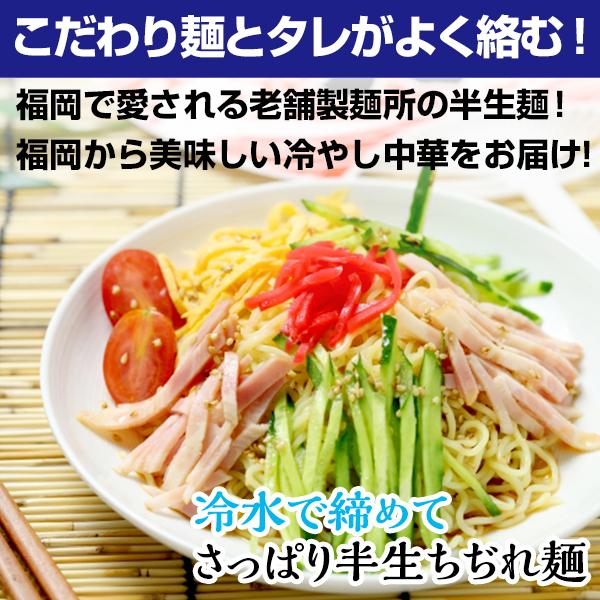 23年12月20日送料無料 冷やし中華5人前 半生ちぢれ麺 選べるスープ ごまダレ 醤油スープ さわやか グルメ お試し お取り寄せ 麺 本格