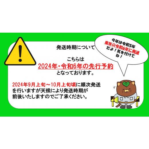 ふるさと納税 山梨県 甲斐市 巨峰　2.0kg相当　 [山梨 巨峰 先行予約]