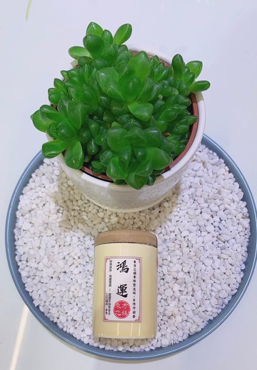 東方芯韻 | 鴻運香方天然手作| 鴻運香丸20g | 帝王薰香 文青薰香