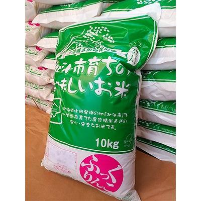 ふるさと納税 北斗市 北海道産 特Aランク ふっくりんこ10kg